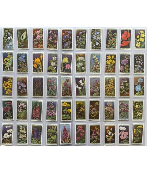 Wild Flowers 1923 (Reprint 1999)