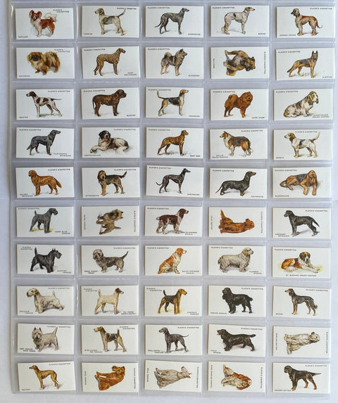 犬の全身像 1931年(2000年再版)