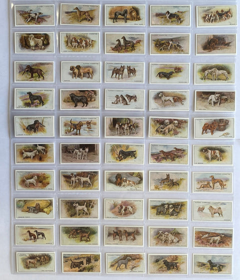 Dogs Scenic backgrounds 1924 (Reprint 1997)