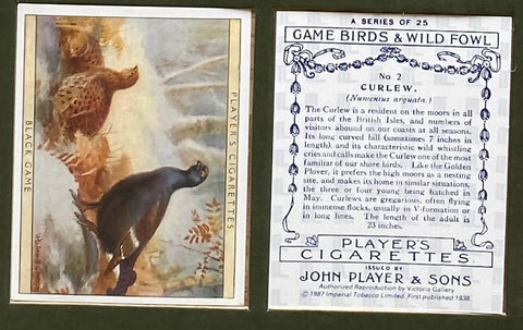 Game Birds and Wild Fowl 1928 (Reprint 1987)
