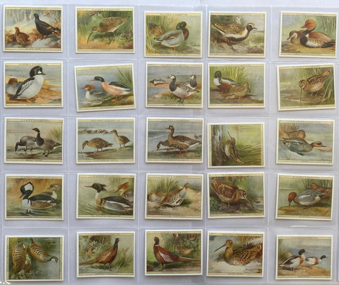Game Birds and Wild Fowl 1928 (Reprint 1987)