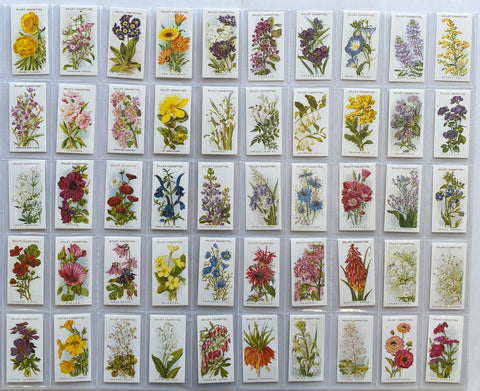 Old English Garden Flowers 2nd Series 1913 (Reprint 1994)