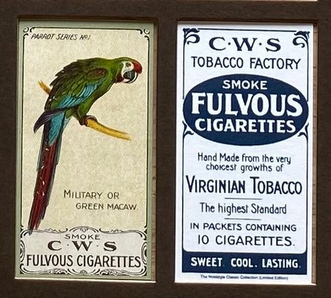 Parrot Series 1910 (Reprint 1996)