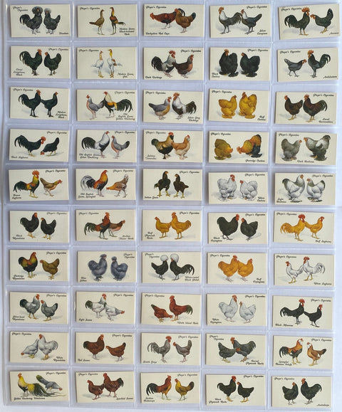 Poultry 1931 (Reprint 1993)