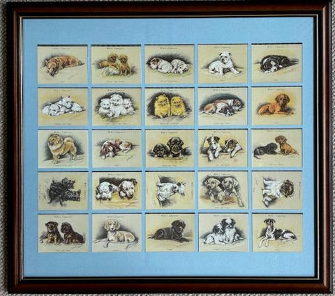 ルーシー・ドーソン著『Puppies』(未刊)(1990年再版)は、現在の在庫がなくなり次第、販売終了となります
