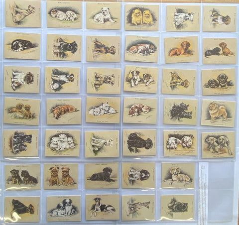 ルーシー・ドーソン著『Puppies』(未刊)(1990年再版)は、現在の在庫がなくなり次第、販売終了となります
