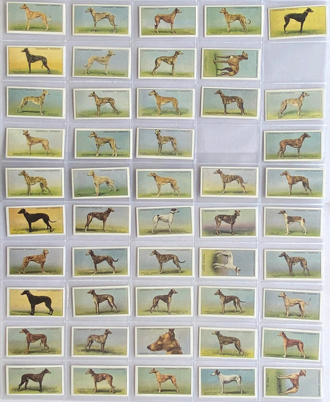 Racing Greyhounds 1934 (Reprint 1989)