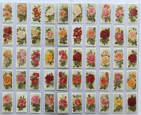 Roses 1st Series 1912 (Reprint 1994)