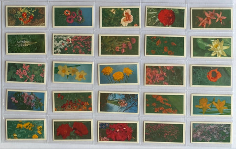Flowers 19?? (Not reprint?)