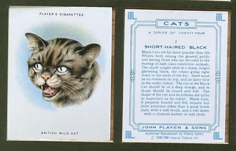 Cats 1936 Players (Reprint 1986)
