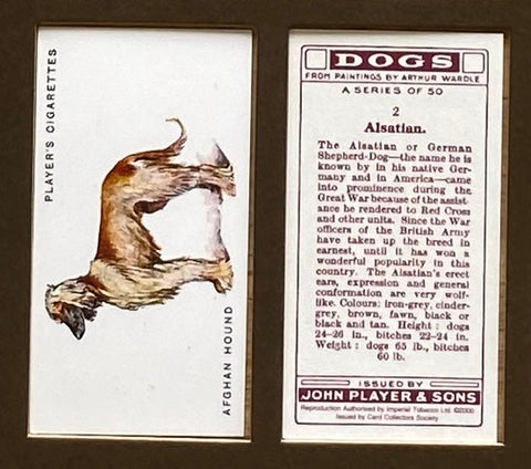 Dogs Full Length 1931 Players (Reprint 2000)