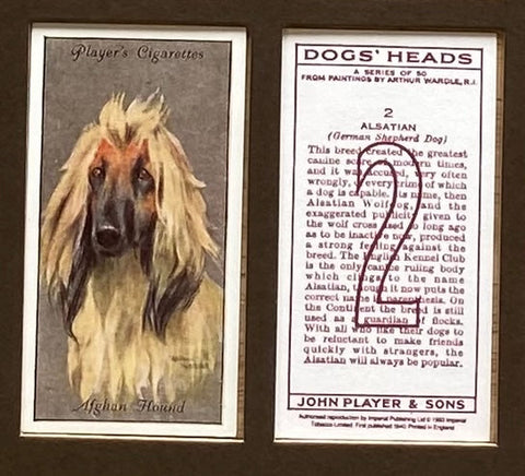 Dogs Heads silver grey backgrounds 1940 Players (Reprint 1994)