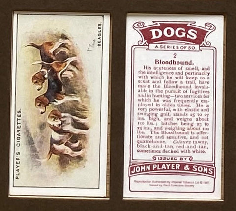 Dogs Scenic backgrounds 1924 Players (Reprint 1997)