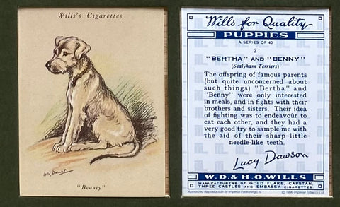 Puppies by Lucy Dawson unissued Wills (Reprint 1990). ALMOST SOLD OUT!