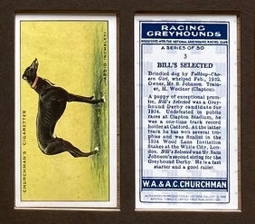 Racing Greyhounds 1934 Churchman (Reprint 1989)
