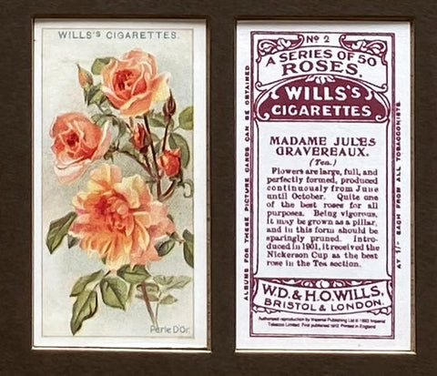 Roses 1st Series 1912 Wills (Reprint 1994)