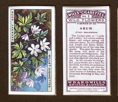Wild Flowers 1923 Wills (Reprint 1999)
