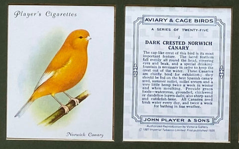 Aviary and Cage Birds 1935 Players (Reprint 1987)