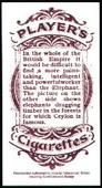 British Empire Series 1904 Players (Reprint 1999)