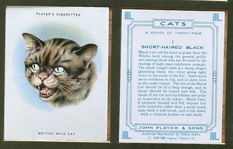 Cats 1936 Players (Reprint 1986)