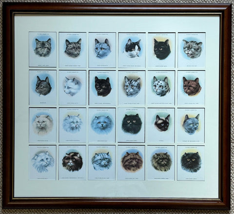 キャッツ 1936 プレイヤーズ（1986年再版）