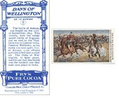 Days of Wellington 1906 Fry (Reprint 2003)