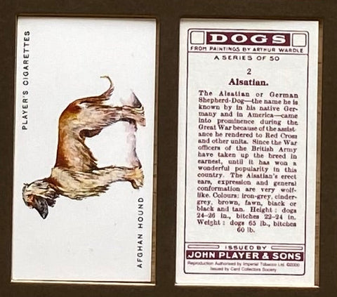 Dogs Full Length 1931 Players (Reprint 2000)