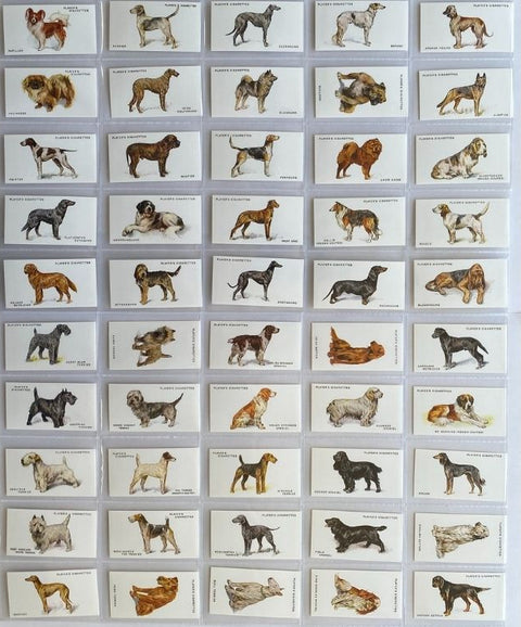 ドッグス フルレングス 1931 プレイヤーズ (2000 年再版)。ほぼ完売！