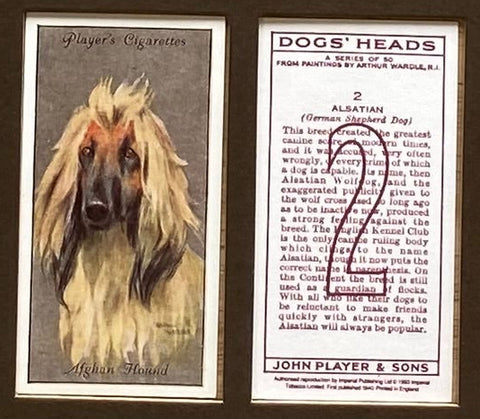 Dogs Heads silver grey backgrounds 1940 Players (Reprint 1994)