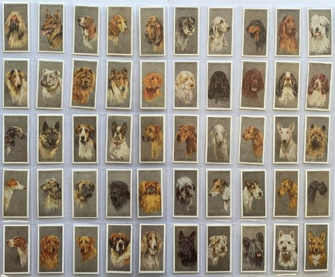 犬の頭、銀灰色の背景、1940年のプレイヤー（1994年再版）