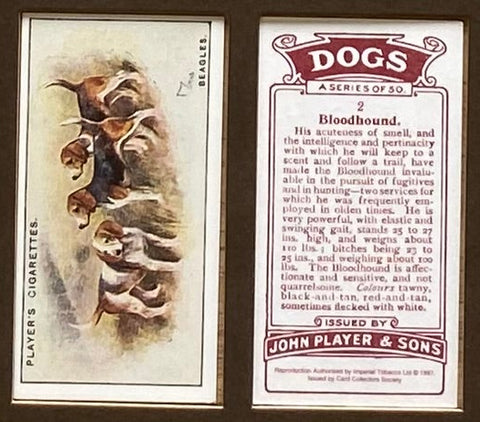 Dogs Scenic backgrounds 1924 Players (Reprint 1997)
