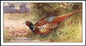Game Birds and Wild Fowl 1927 Players (Reprint 1999)