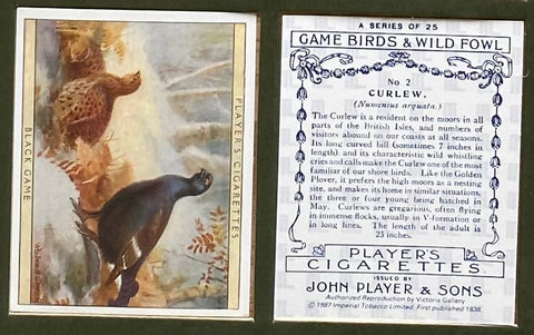 Game Birds and Wild Fowl 1928 Players (Reprint 1987)