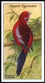 Nature Series 1908 Players (Reprint 2000)