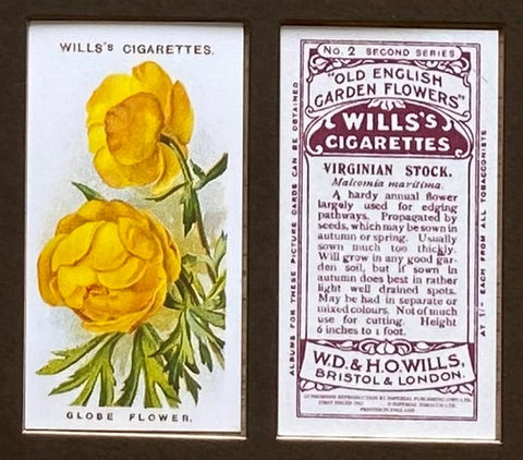 Old English Garden Flowers 2nd Series 1913 Wills (Reprint 1994)