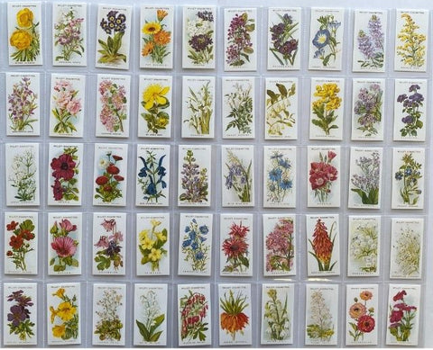 オールドイングリッシュガーデンフラワーズ第2シリーズ 1913年 ウィルズ（1994年再版）