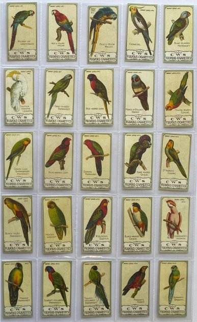 Parrot Series 1910 C.W.S. (Reprint 1996)