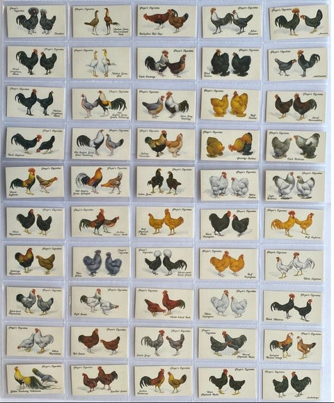 ポウルトリー1931プレイヤーズ（1993年再版）