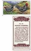 Poultry 2nd Series 1916 Ogdens (Reprint 2000)
