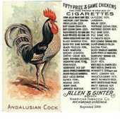 Prize and Game Chickens c1892 Allen & Ginter (USA) (Reprint 2000)