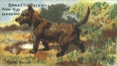 Prize Dogs c1910 Spratts (Reprint 2001)