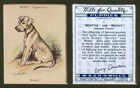 Puppies by Lucy Dawson unissued Wills (Reprint 1990). ALMOST SOLD OUT!