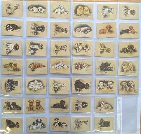 ルーシー・ドーソン著『Puppies』未発表の遺言（1990年再版）。売り切れ間近！