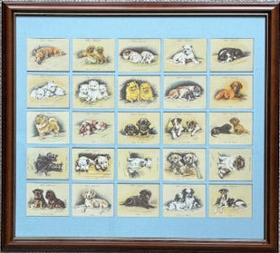 ルーシー・ドーソン著『Puppies』未発表の遺言（1990年再版）。売り切れ間近！