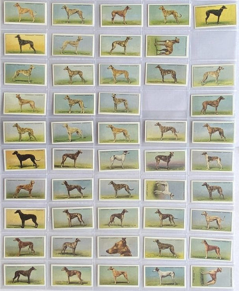 レーシング・グレイハウンド 1934 チャーチマン（1989年再版）