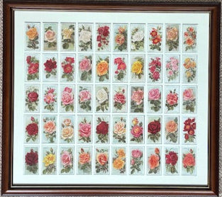 ローズ第1シリーズ 1912年遺言（1994年再版）