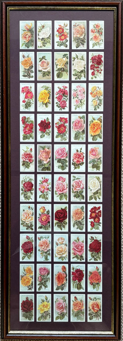 ローズ第1シリーズ 1912年遺言（1994年再版）