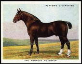 Types of Horses 1939 Players (Reprint 1998)