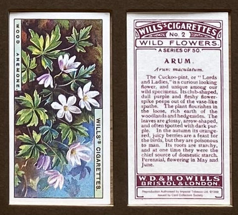 Wild Flowers 1923 Wills (Reprint 1999)