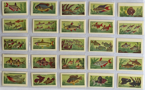 魚19??（再版ではない？）